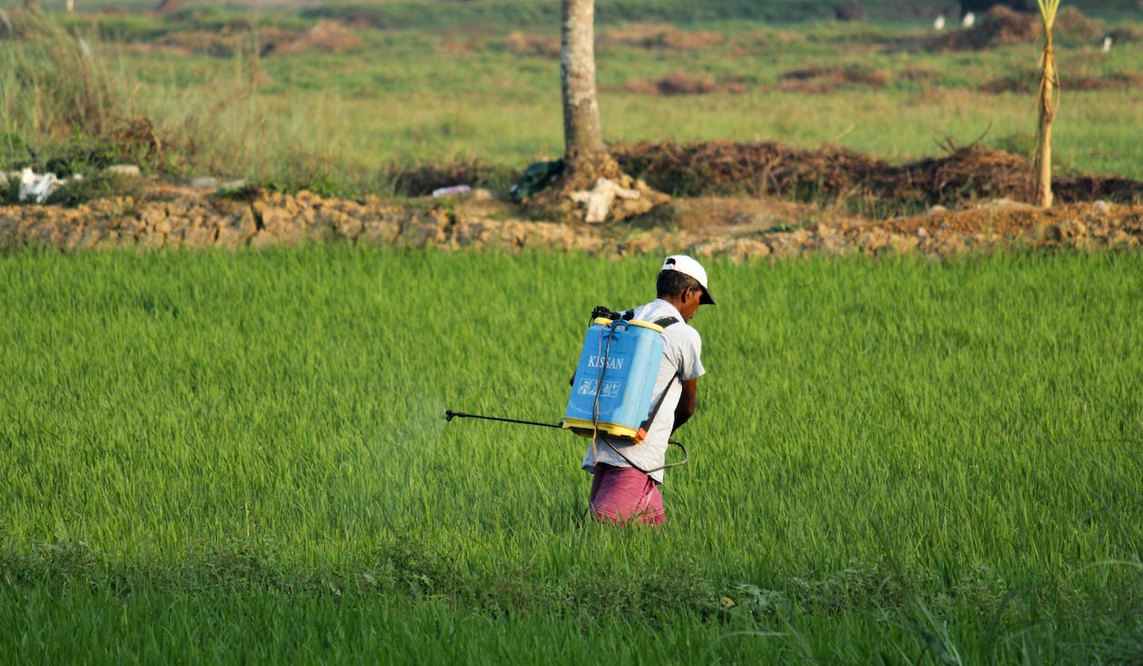 The Paraquat Lawsuit: A Farmer’s Fatal Friend