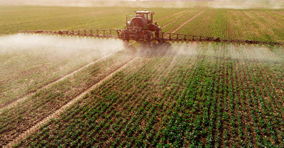 Atrazine: Protect Your Family From America’s Pesticide Addiction